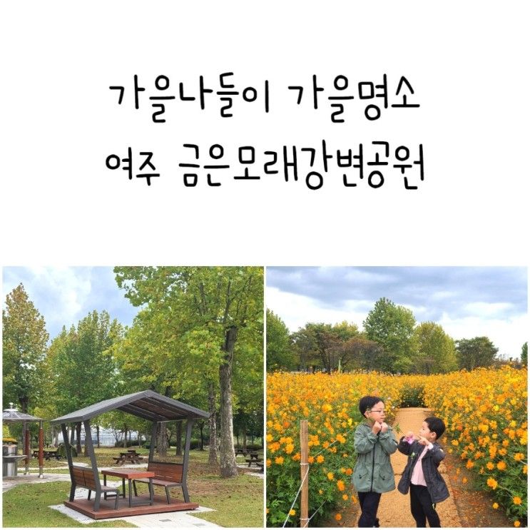 가을나들이 가을명소 여주 아이랑 금은모래강변공원 피크닉...