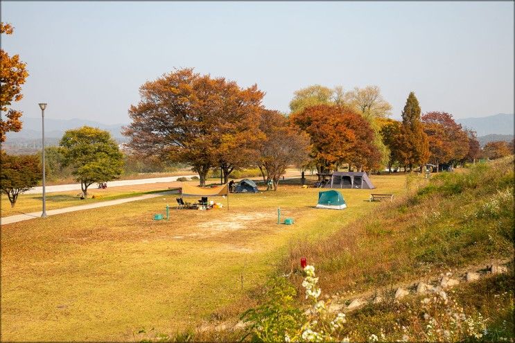 경기도 캠핑장 추천 여주 금은모래강변 공원 캠핑장