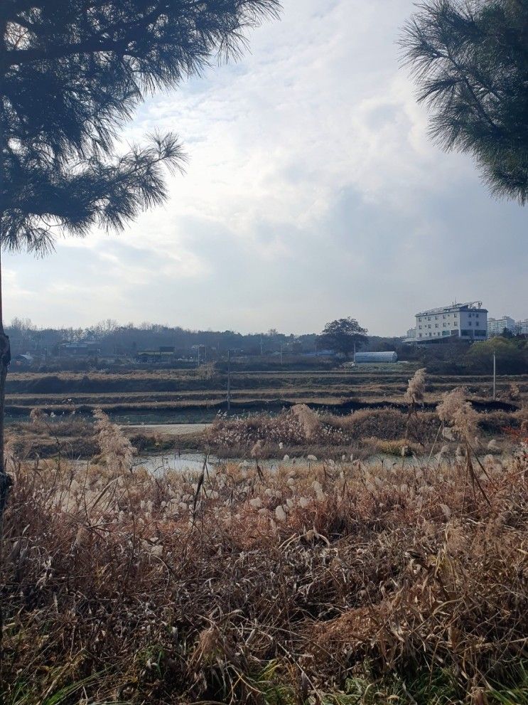 경기도 여주 아이와 갈만한 걷기좋은 금은모래 강변공원 추천해요