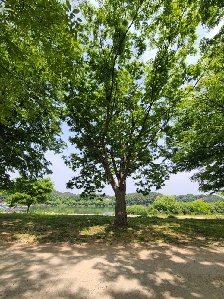 오늘의 체크인 - 여주 금은모래강변공원...