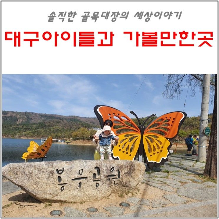 대구 아이들과 가볼만한곳 나비생태원과 송해공원