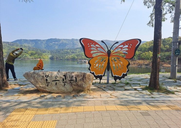 대구 봉무공원 단산지 산책로/봉무나비생태원