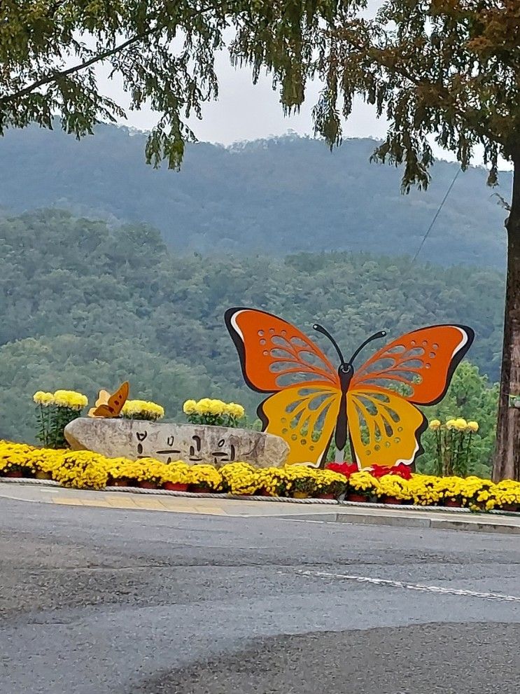 22.10.09 대구 아이와 가볼만한 곳 - 봉무 나비생태원🦋