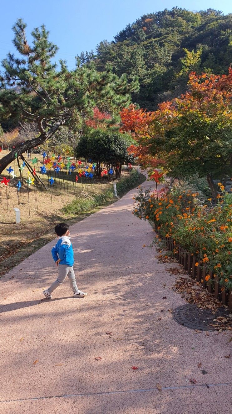 경남 창원 진해 아기랑 나들이 _ 진해드림파크 진해목재문화체험관 진해숲놀이터 진해테마파크 창원진해가볼만한곳