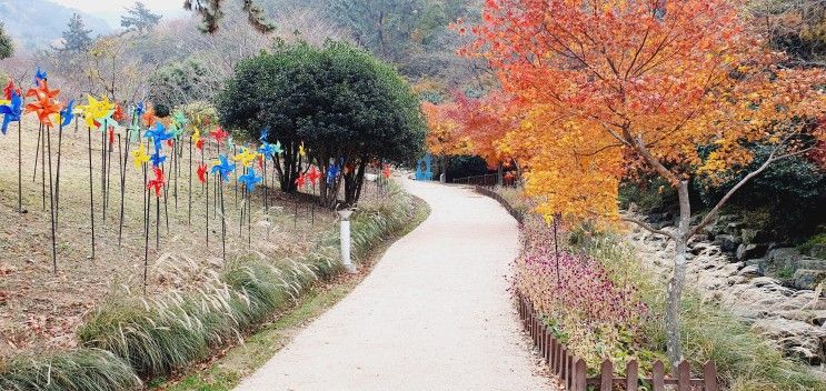 <진해드림파크> 아이와 함께 주말 나들이