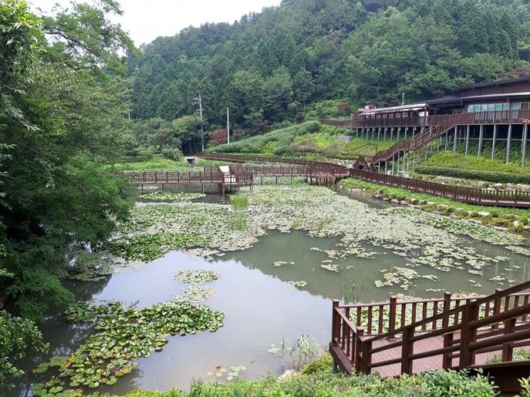 경남 아이들과 가볼만한곳 진해드림파크 목재문화체험장