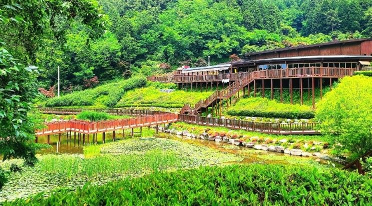 <창원>수국동산 진해드림파크 목재문화체험장