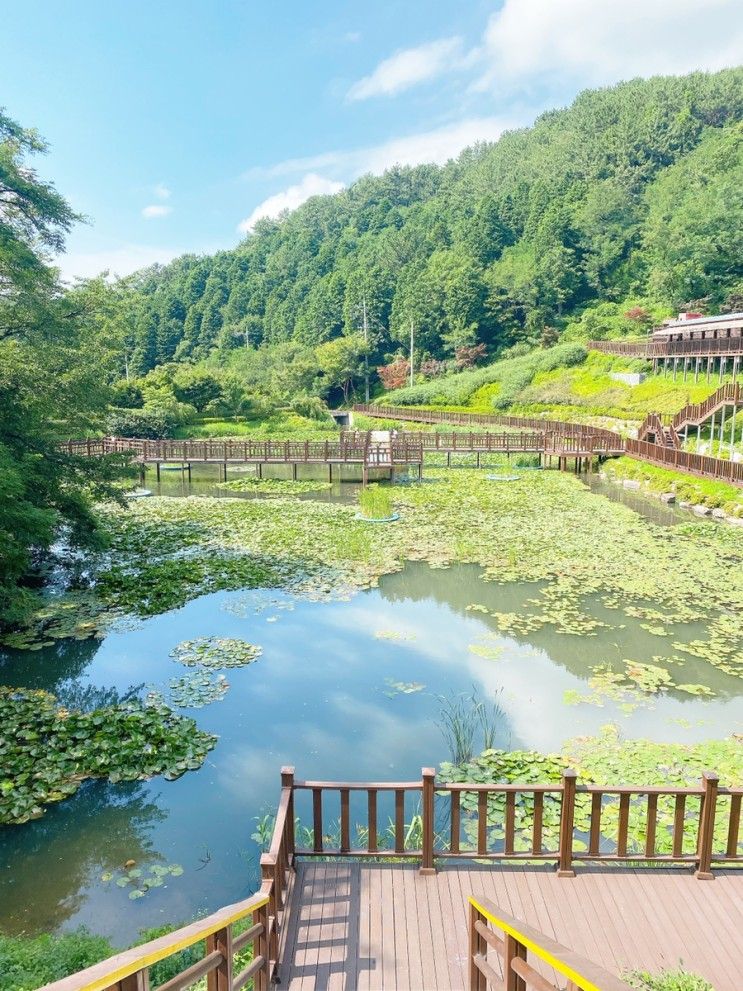 [진해 가볼만한 곳] 초록초록🍃 푸른 여유의 진해드림파크