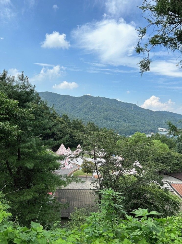 27개월 아기랑 카라반 캠핑! 서울 근교, 포천 알맹이캠핑장 !