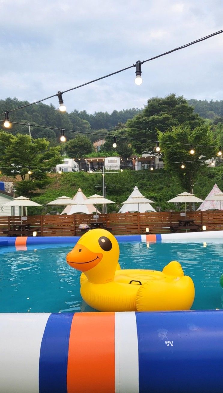 포천 글램핑 수영장 알맹이캠핑 초등아이와 카라반 캠핑 후기