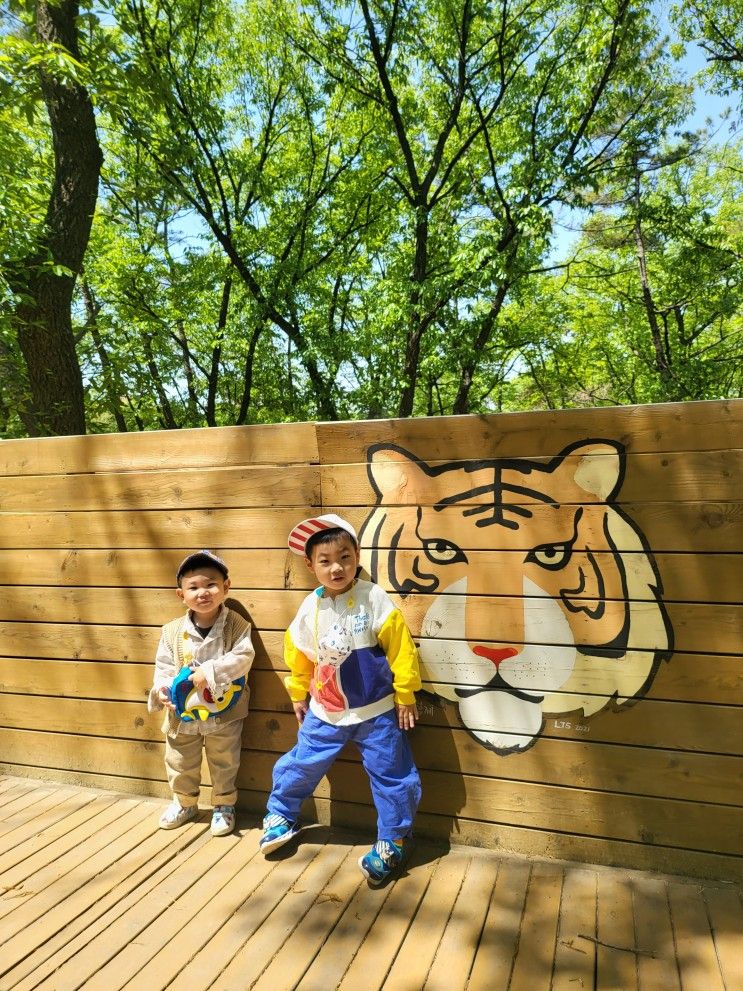 주말 나들이 대구대학교 내에 있는 비호동산 유아 숲체험원에...