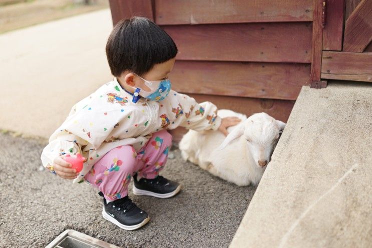 고창 동물농장~ 29개월 꽃아들이 마음껏 뛰어놀 수 있는 상하농원! 전북 아이와 함께 가볼 만한 여행지 추천~