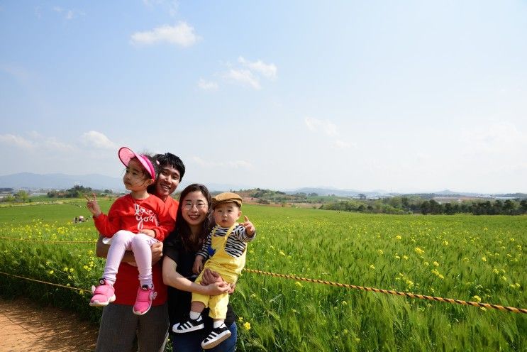 전북 고창 아이와 가볼만한 곳, 상하농원, 청보리밭, 고인돌 유적지