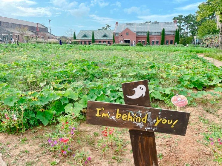 광주근교 고창 아이와 가볼만한곳 | 고창 상하농원 전북 할로윈축제