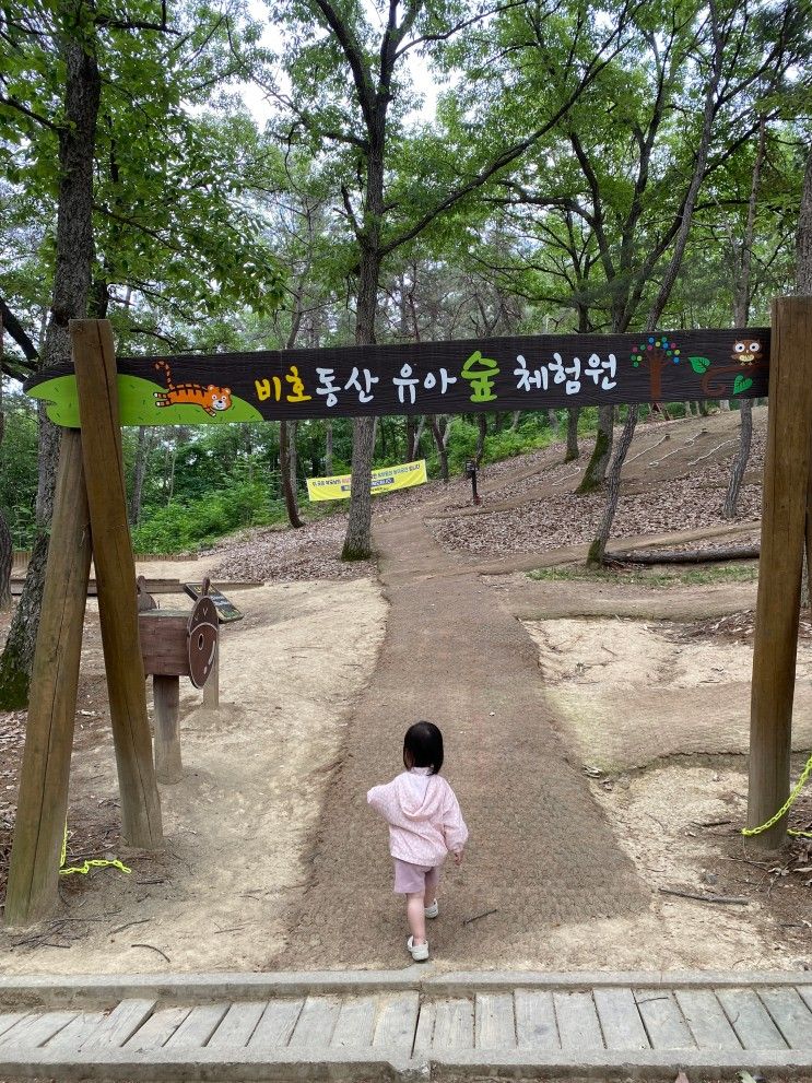 대구 근교 하양 아이랑... 추천 - 대구대학교 ｜비호동산...