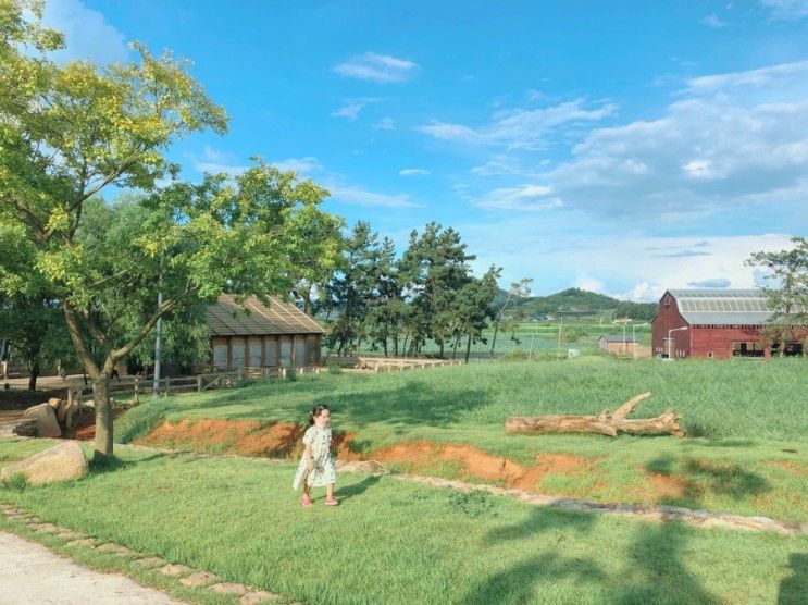 [상하농원]고창여행,아이와가볼만한곳,인생사진스팟