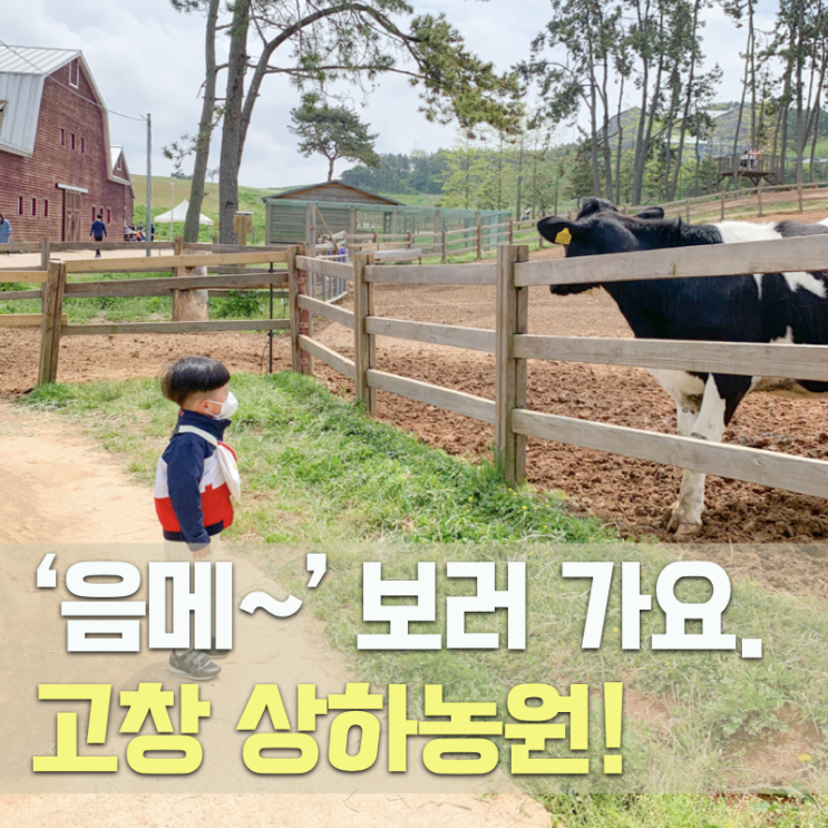 전남 아이와 가볼 만한 곳으로 고창 상하농원 다녀왔어요.