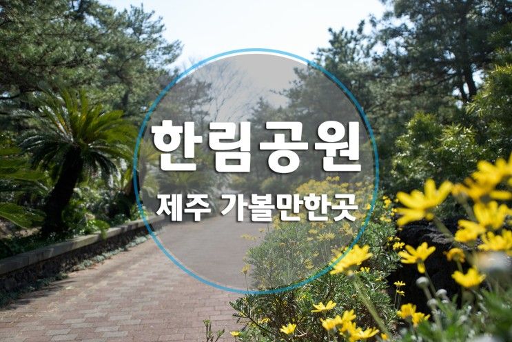 제주 한림공원 봄 향기가 가득하네요