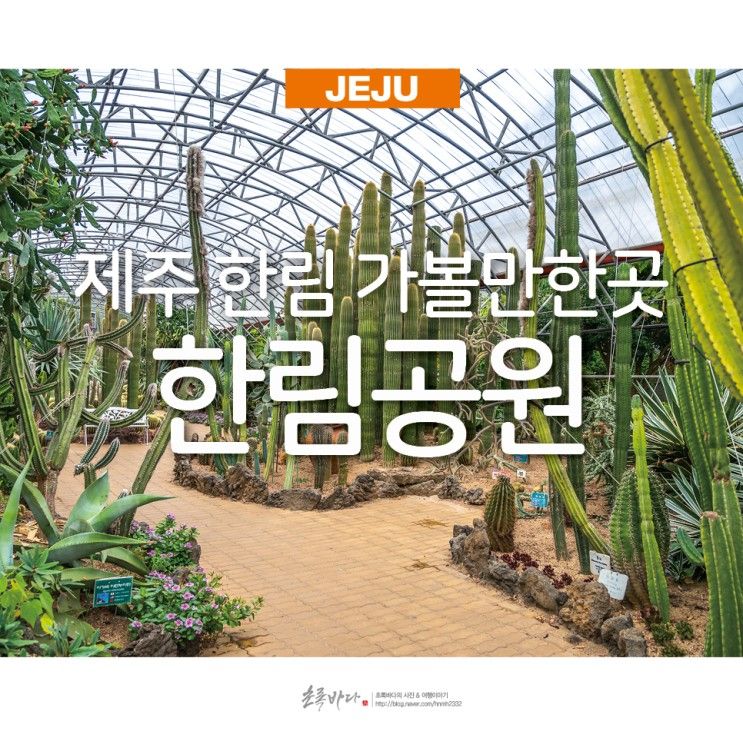 제주 한림 가볼만한곳 제주 한림공원 동굴 제주도 꼭 가봐야할곳