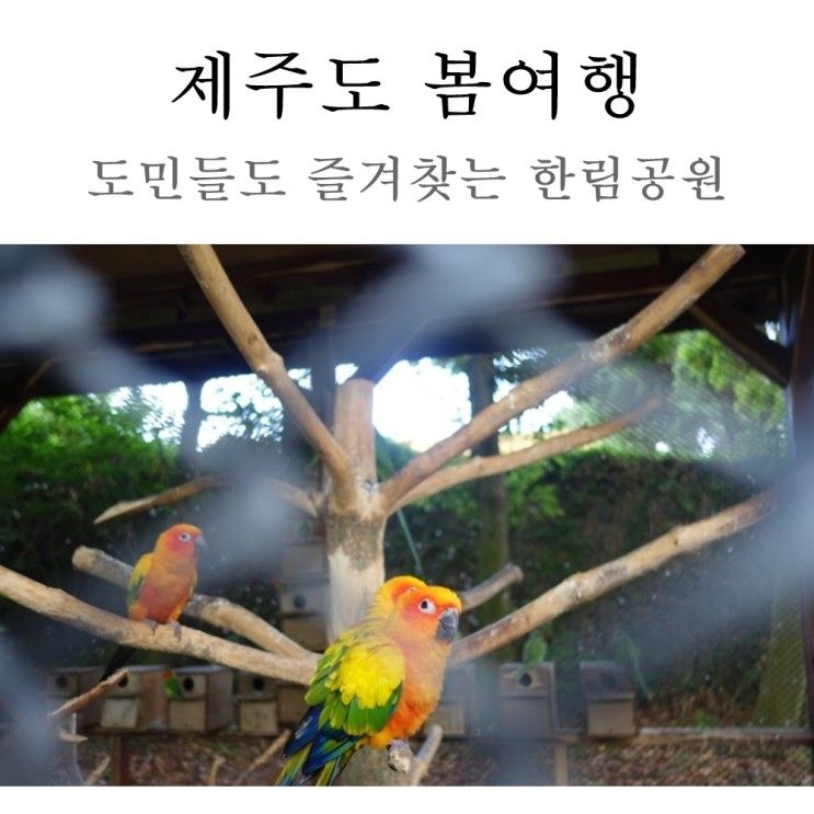 도민들도 즐겨찾는 제주 한림공원