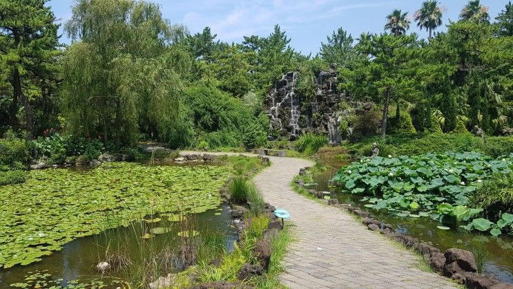 (제주도 갈만한곳)한여름에 방문한 제주 한림공원~