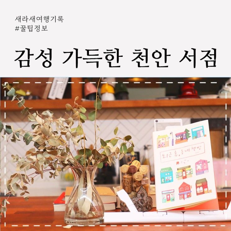 천안 북하우스 (이색 책방, 불당동 북카페)