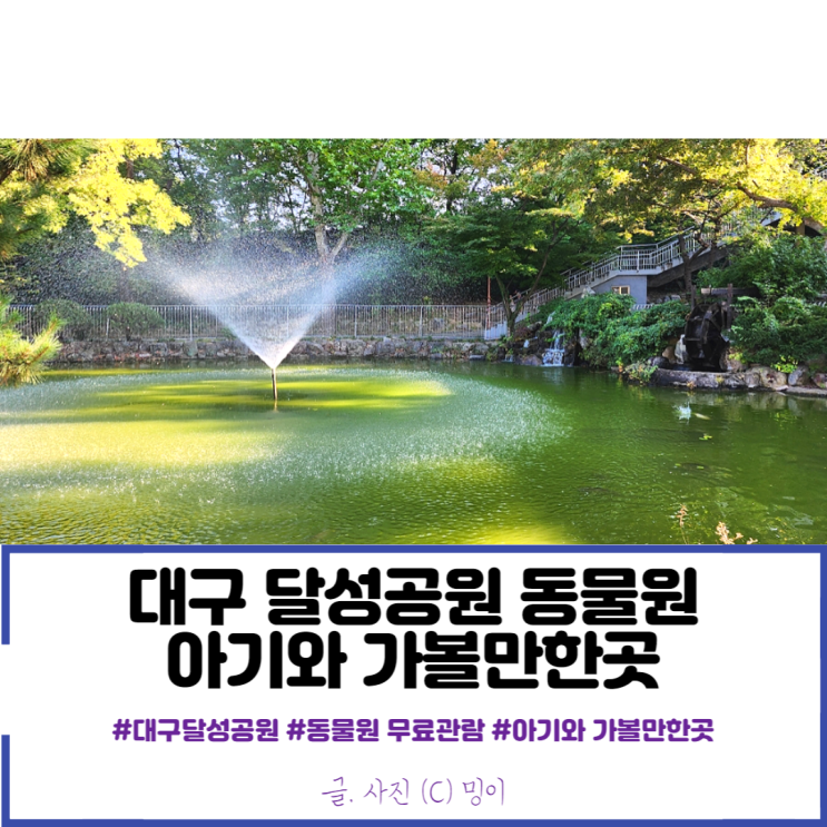 대구 달성공원 동물원 아기랑 가볼만한곳, 주차장