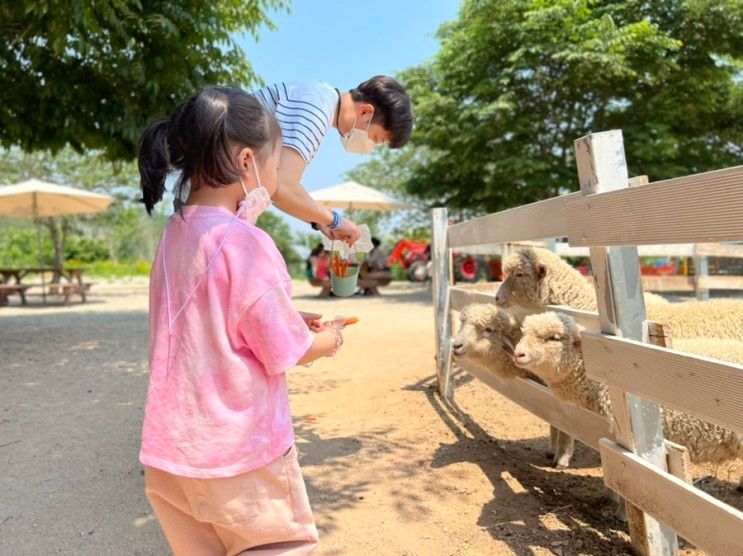 울산 아이와 함께 포니랜드에서 승마체험!