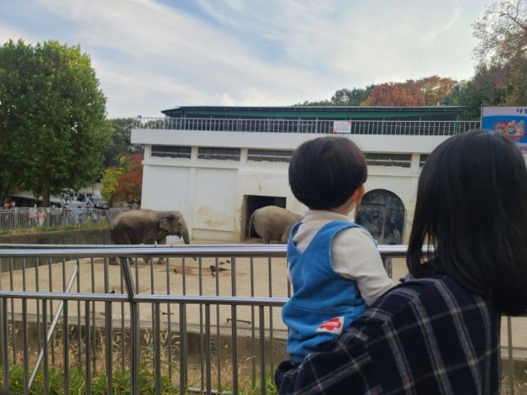 놀거리 달성공원 탐방) 대구 동물천국, 아기랑 놀 곳 달성공원