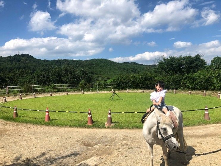 울산 :: 포니랜드 / 울산갈만한곳 / 울산포니랜드...