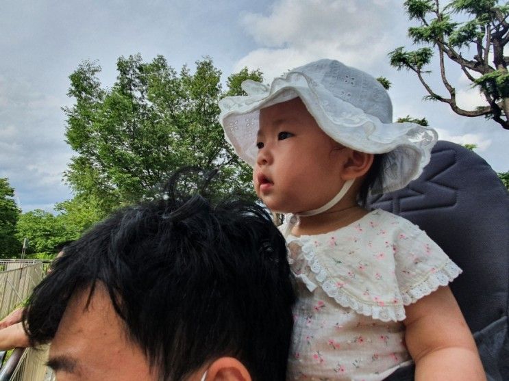 대구 아기랑 같이 갈만한곳 달성공원 대구 동물원 :: 미니메이즈...