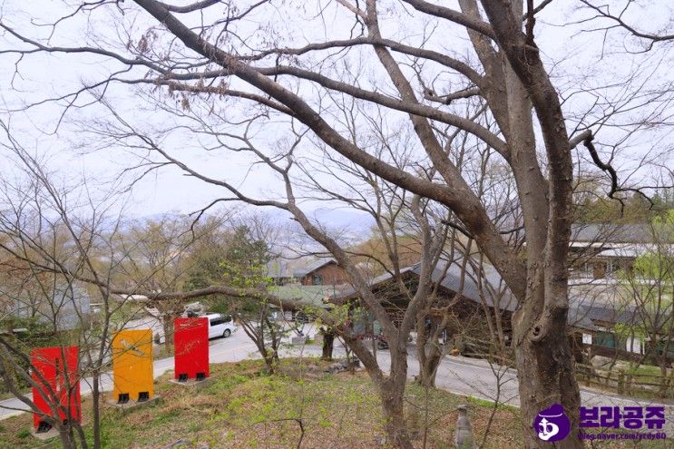 경기도 안성 캠핑장! 너리굴 문화마을