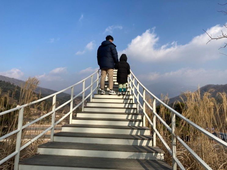 남양주 물맑음수목원ㅣ아이와 겨울엔 실내놀이터 있는 수목원