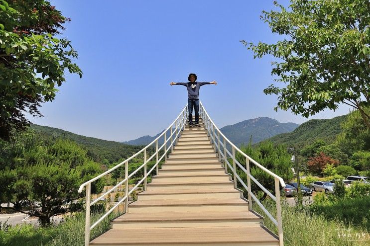 남양주 여행 아이와함께 가볼만한곳 물맑음수목원