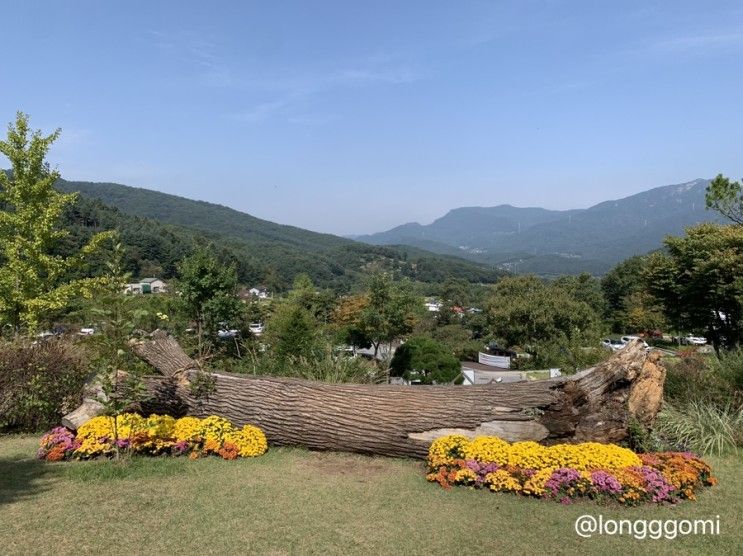 물맑음수목원_ 남양주수목원,남양주 아이와 가볼만한 곳