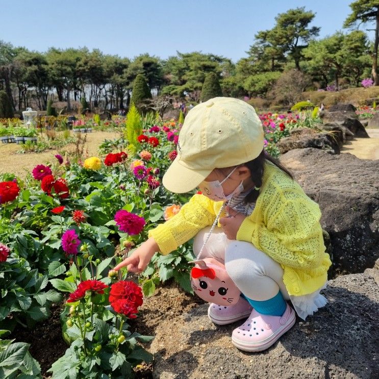 주말나들이 아이와 가볼만한곳, 파주 벽초지수목원 백만송이 봄꽃축제 맛집포함