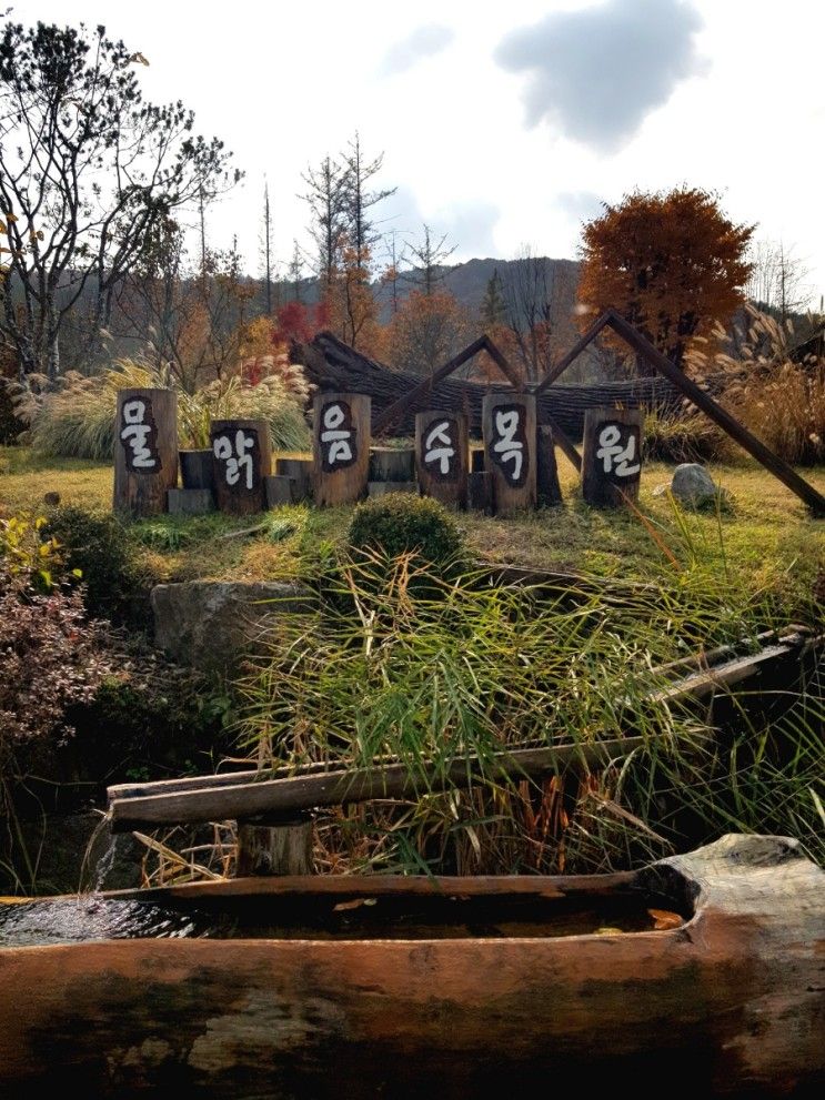 아이와가볼만한곳  단풍도 예쁘고  숲놀거리도 가득한 물맑음수목원