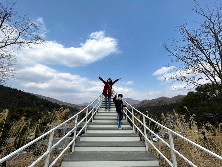 수동면 아이와 가볼만한 물맑음수목원