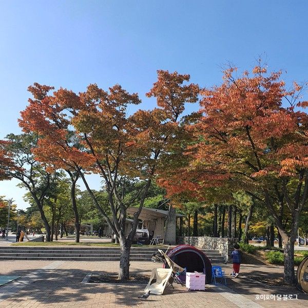 단풍 든 서울 상암 월드컵공원(평화의공원) : 아이랑 놀기 너무 편한 원터치텐트 예찬 ! 그늘막은 필요없구,, 돗자리만 갖고싶음ㅋ