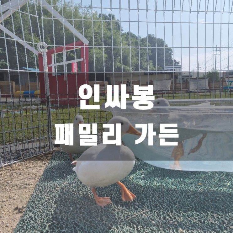 진주 아이와 가볼만한곳, 인싸봉 패밀리가든