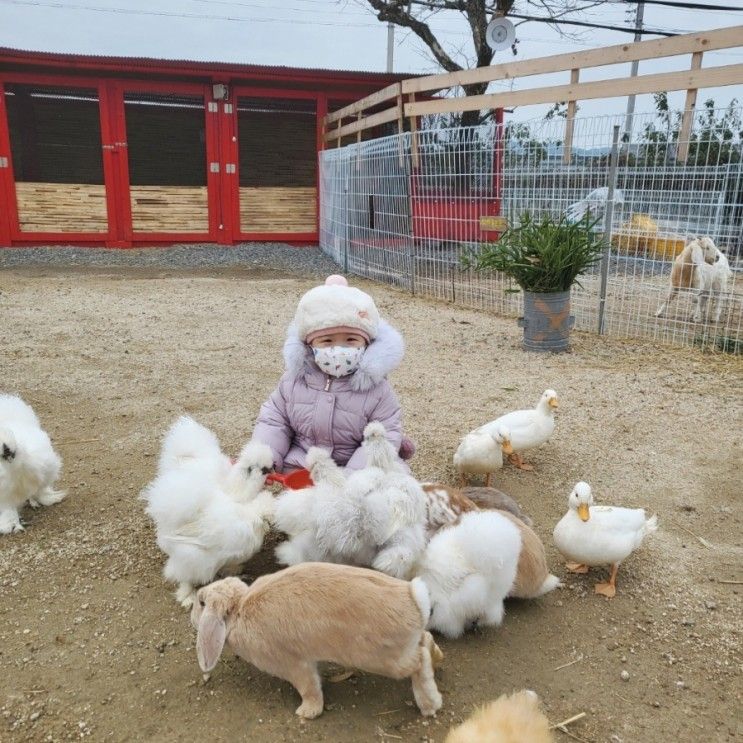 야외카페 : 동물먹이 체험이 가능한 인싸봉 패밀리가든