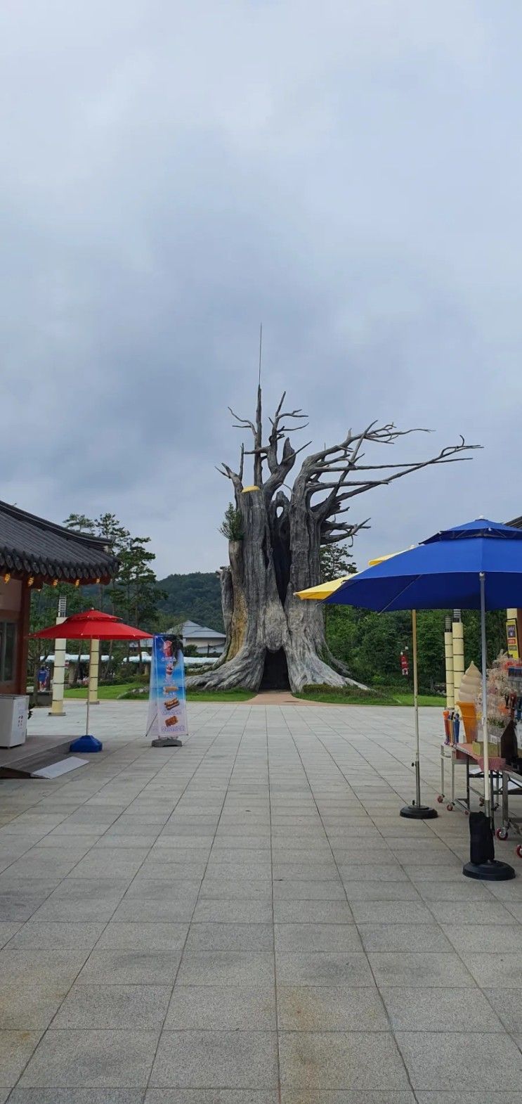 군위 삼국유사 테마파크 야외 놀거리