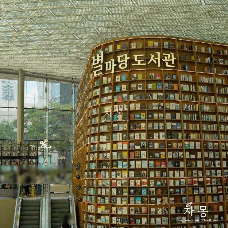 코엑스 별마당 도서관 광장의 활기를 느낄 수 있는 곳