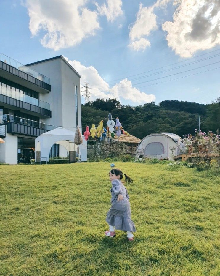 경기도 용인 아이와 가볼만한곳 애견동반 카페 신기로