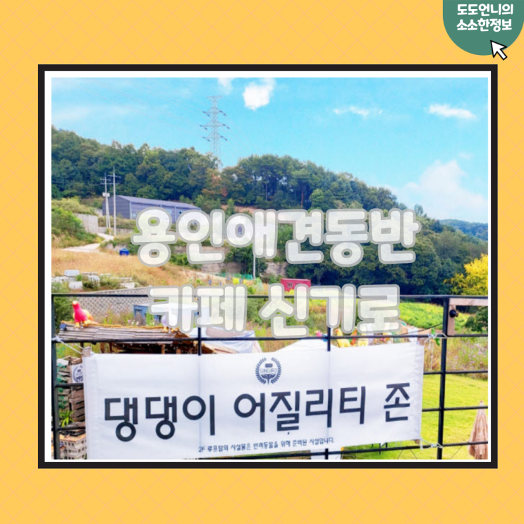 용인 애견동반카페 신기로에서 브런치