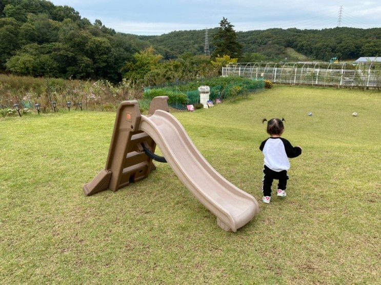 용인처인구 카페신기로 솔직한 후기