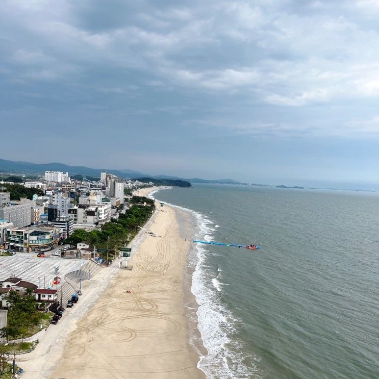 짚트랙코리아 대천해수욕장 짚라인과 대천 전망대 카페 친구...