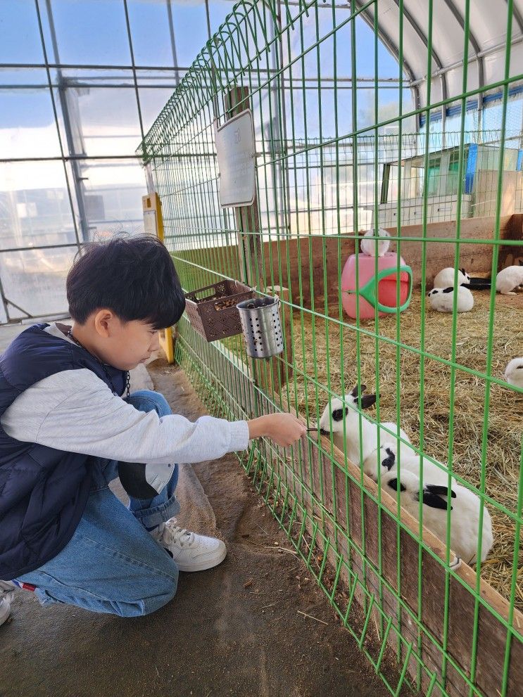 20230319~20 강릉여행 (아기동물농장-영진해변-휴휴암...