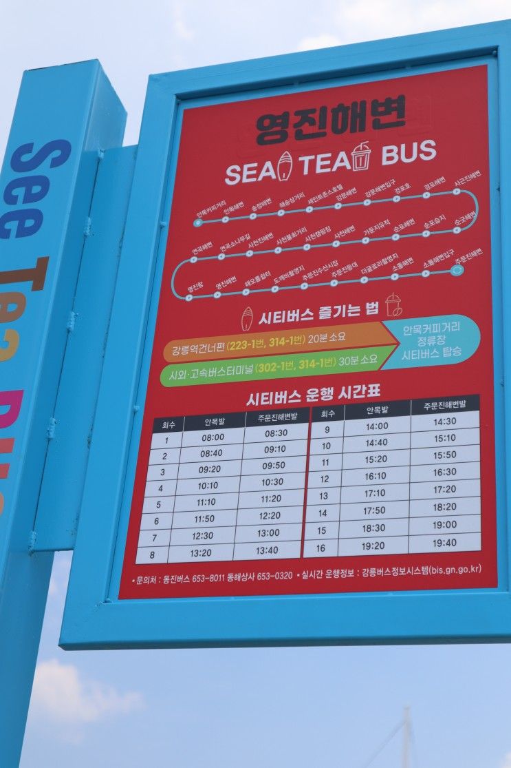 강릉 씨티버스(sea tea bus)영진해변 앞 시간표 정보