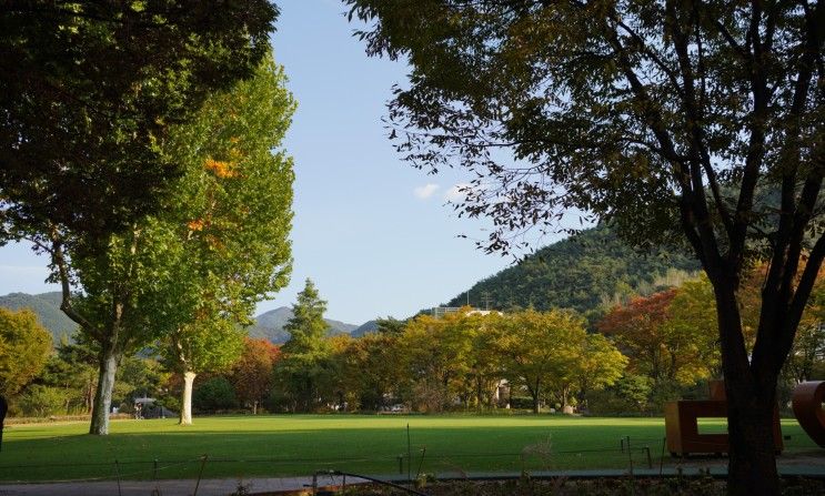 대구 여행 달서구 가볼만한곳 대구수목원